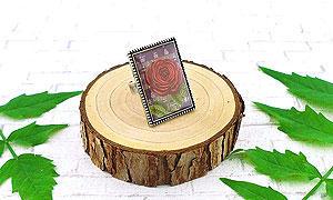 LAVISHY wholesale Eco-friendly love themed fashion rings to gift shop, clothing & fashion accessories boutique, book store, souvenir shops in Canada, USA & worldwide since 2001.
